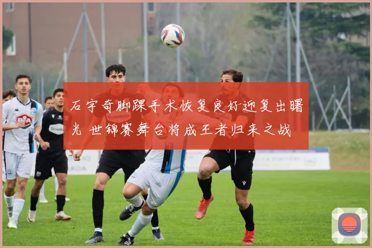 石宇奇脚踝手术恢复良好迎复出曙光 世锦赛舞台将成王者归来之战